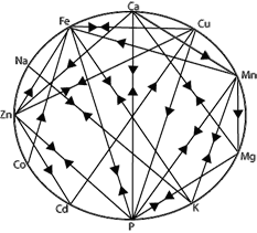 Mineral Wheel with animated Antagonisms 